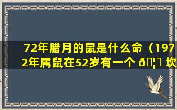 72年腊月的鼠是什么命（1972年属鼠在52岁有一个 🦉 坎嘛）